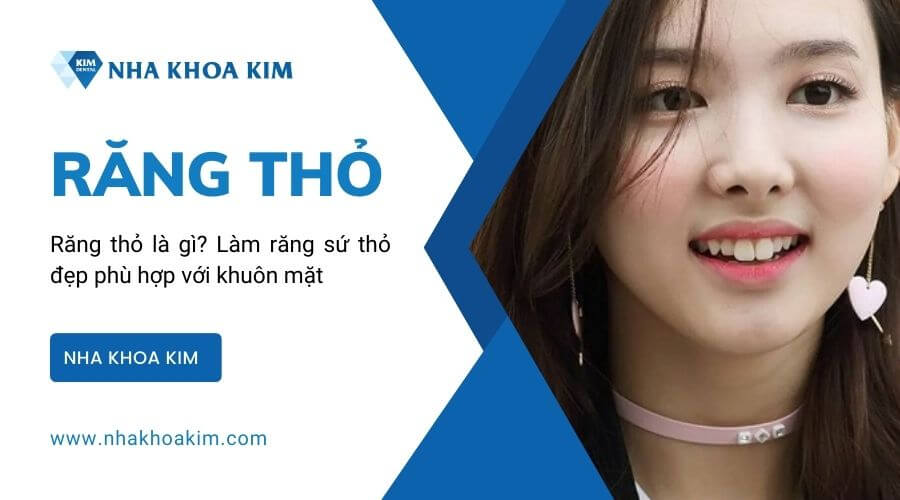 Răng thỏ là gì Làm răng sứ thỏ đẹp phù hợp với khuôn mặt