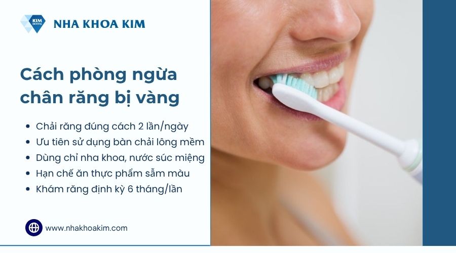 Cách phòng ngừa chân răng bị ố vàng