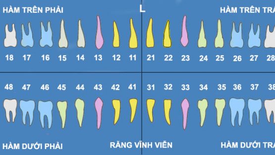 Nhổ răng số 18 – Kinh nghiệm nhổ răng an toàn, không đau nhức