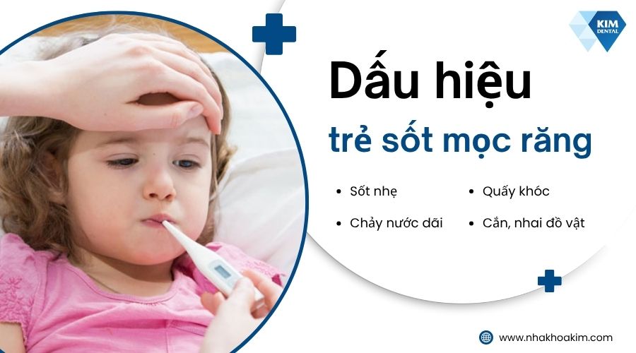 dấu hiệu trẻ sốt mọc răng