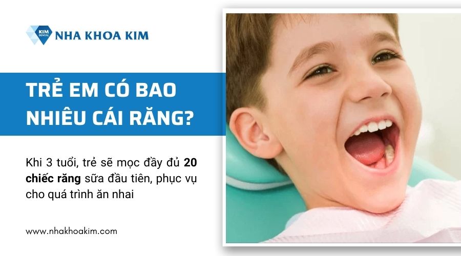 trẻ em có bao nhiêu cái răng?