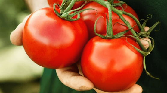 Hướng dẫn cách làm trắng răng bằng cà chua cực đơn giản tại nhà
