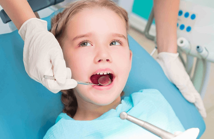 Mỗi loại răng có những chức năng riêng biệt