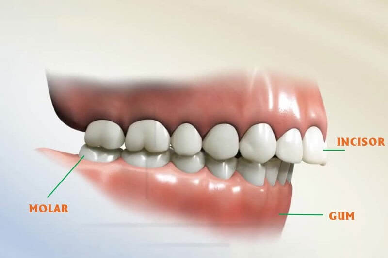 7. Tầm Quan Trọng Của Việc Điều Trị Răng Hô