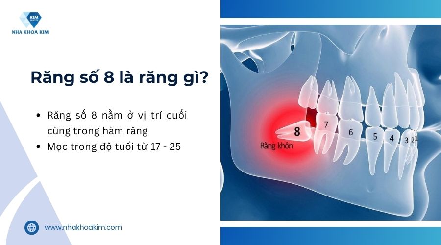 răng số 8 