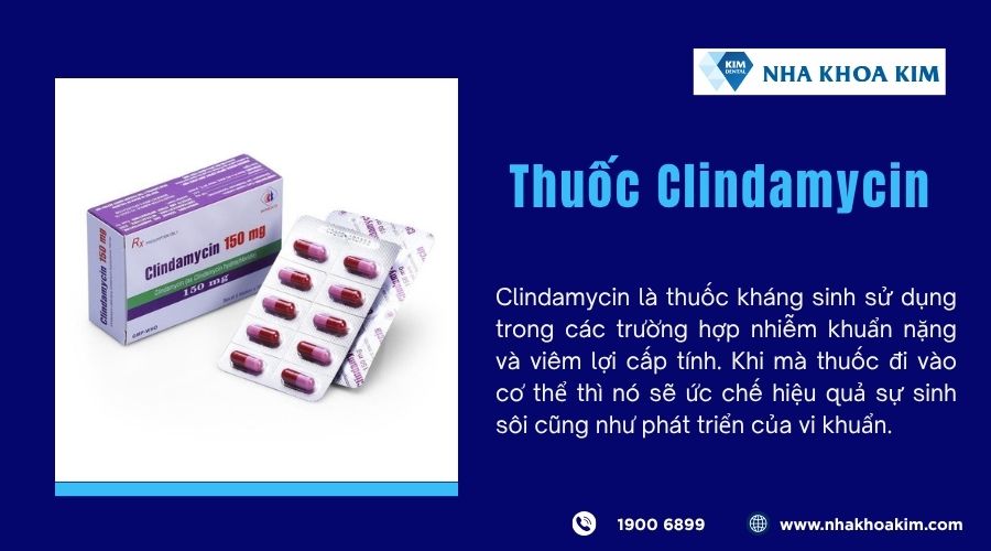 Thuốc chữa viêm lợi Clindamycin