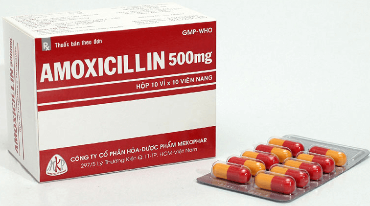 Thuốc chữa viêm lợi Amoxicillin