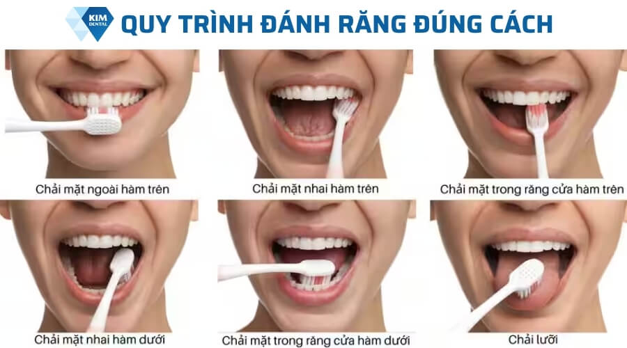 Hướng dẫn cách đánh răng đúng cách