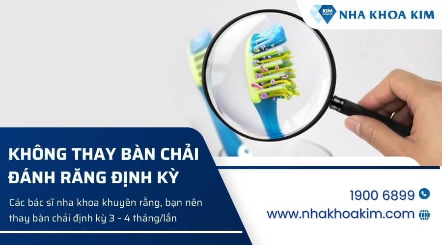 Không thay bàn chải định kỳ