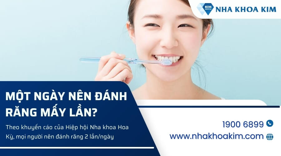 Một ngày nên đánh răng mấy lần?