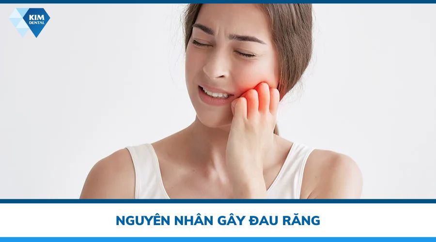 nguyên nhân gây đau răng