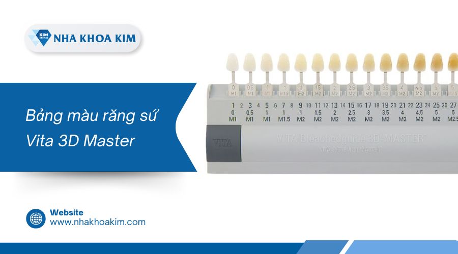 Bảng màu răng sứ Vita 3D Master
