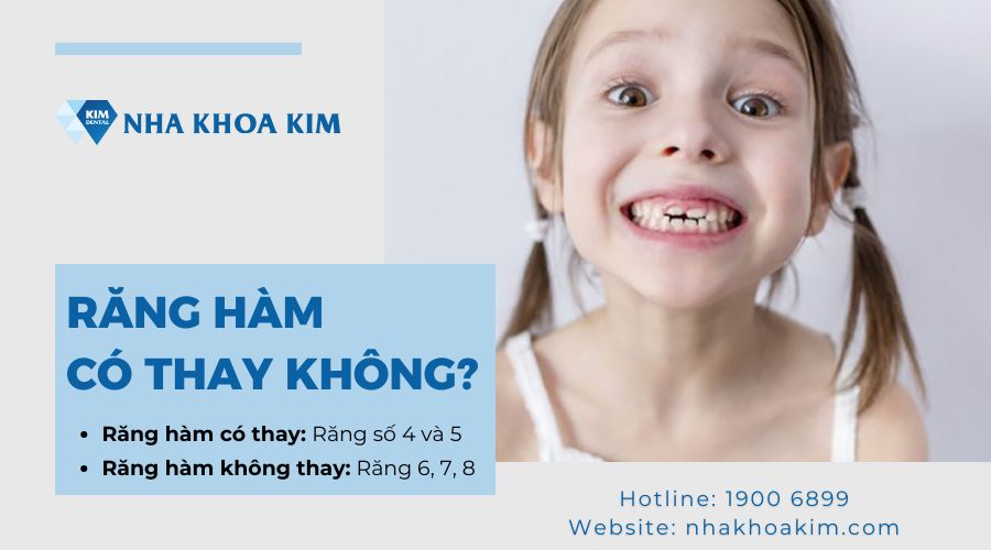 răng hàm có thay không