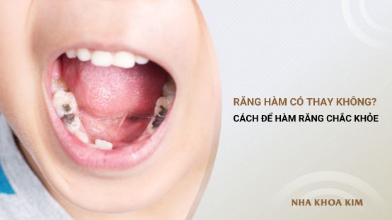 Răng hàm có thay không? Cách bảo vệ hàm răng luôn chắc khỏe