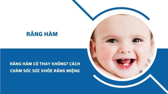 Răng hàm có thay không? Cách bảo vệ hàm răng luôn chắc khỏe