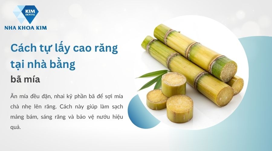Dùng bã mía làm sạch răng tự nhiên