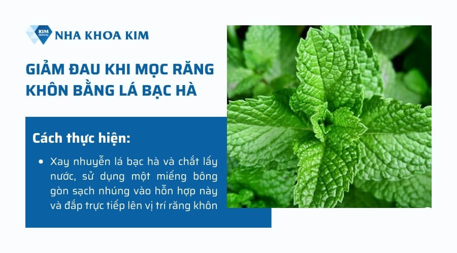 Mẹo giảm đau răng khôn tại nhà bằng lá bạc hà