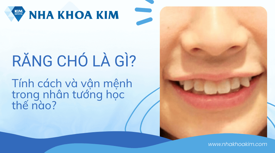 Đặc điểm cấu tạo của hàm răng chó là gì?
