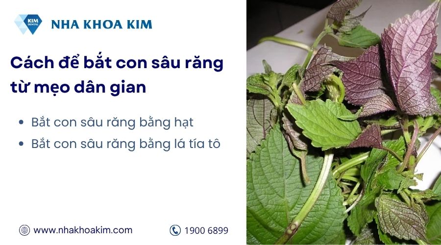 Cách để bắt con sâu răng tại nhà