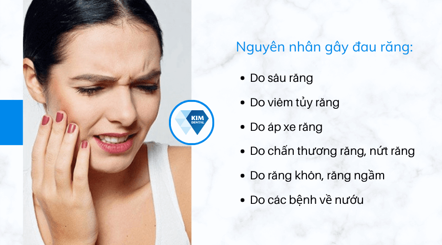 5. Phòng Ngừa Đau Răng và Duy Trì Sức Khỏe Răng Miệng