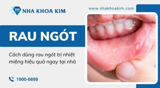 Cách dùng rau ngót trị nhiệt miệng hiệu quả ngay tại nhà