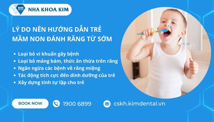 vì sao nên dạy trẻ mầm non đánh răng từ sớm