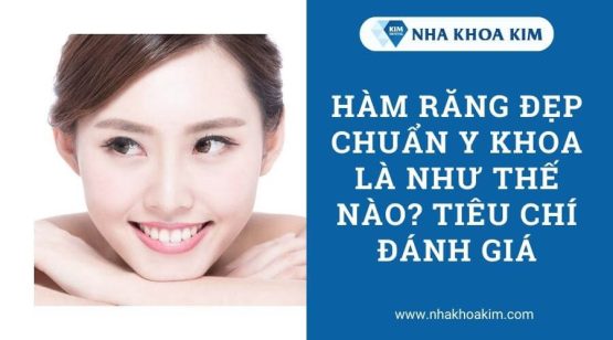 Hàm răng đẹp chuẩn Y khoa là như thế nào? Tiêu chí đánh giá