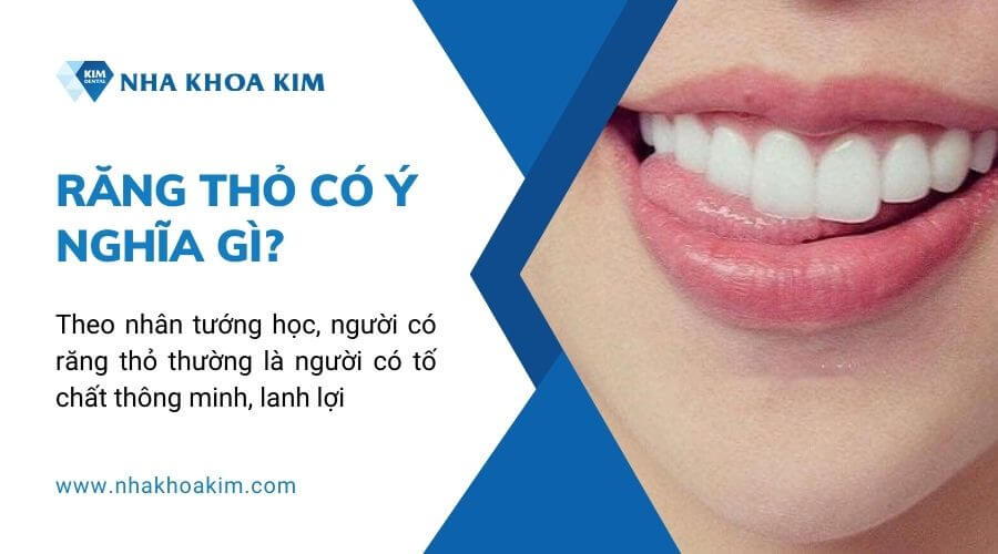 Răng thỏ có ý nghĩa gì? 