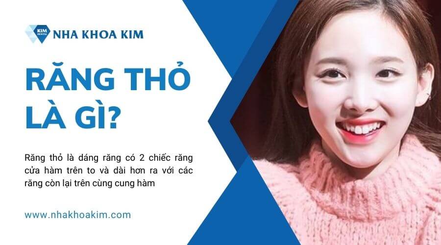 Răng thỏ là gì? 