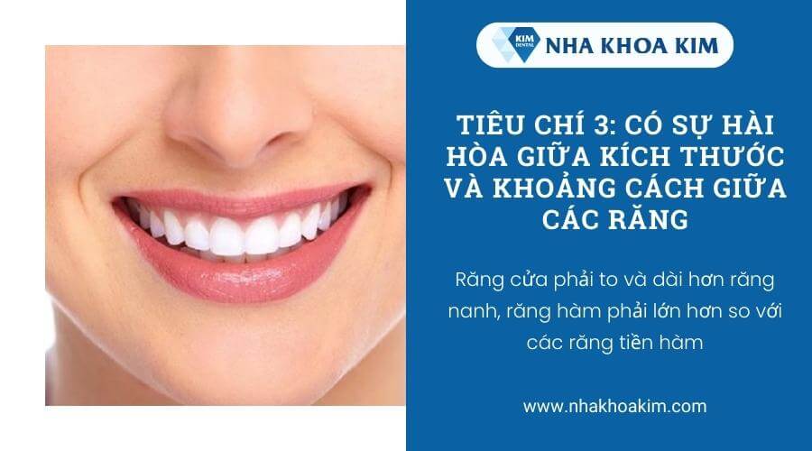 Có sự hài hòa giữa kích thước và khoảng cách giữa các răng