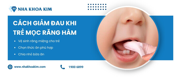 Làm gì để giảm đau khi trẻ mọc răng hàm