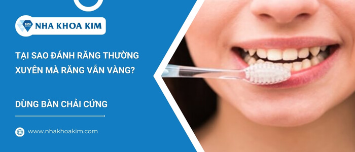 Răng vàng do sử dụng bàn chải quá cứng