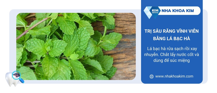 Trị sâu răng vĩnh viễn bằng lá bạc hà