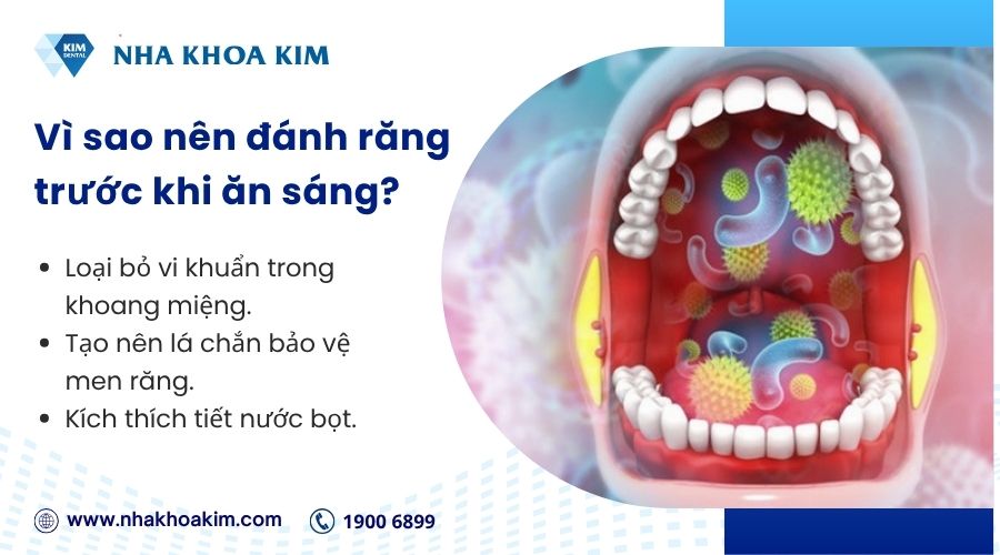 Vì sao nên đánh răng trước khi ăn sáng?