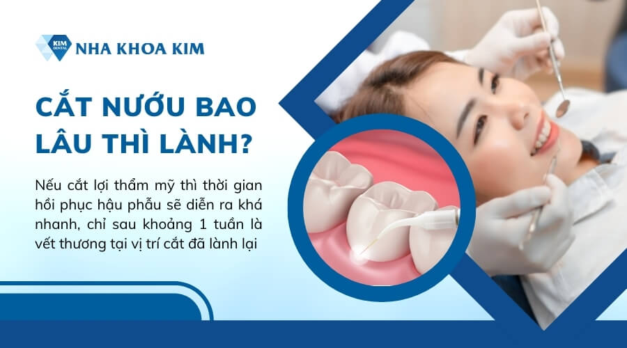 Cắt nướu bao lâu thì lành?