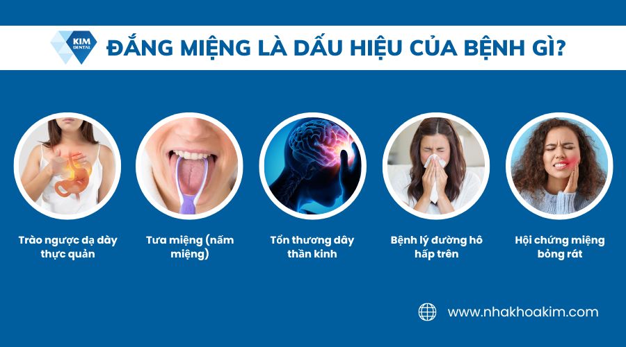 đắng miệng là dấu hiệu của bệnh gì