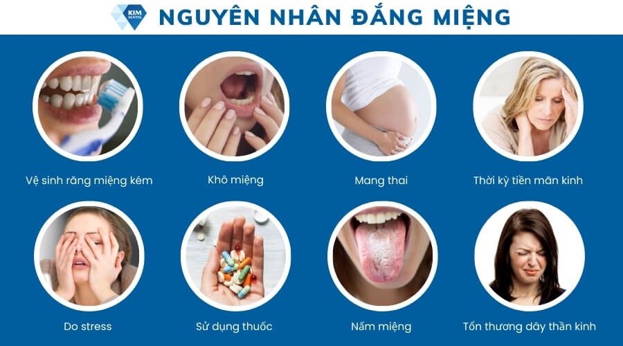 Nguyên nhân đắng miệng