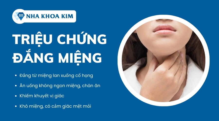 Phòng Ngừa và Duy Trì Sức Khỏe Răng Miệng