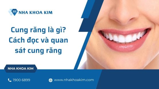 Cung răng là gì? Cách đọc và quan sát cung răng