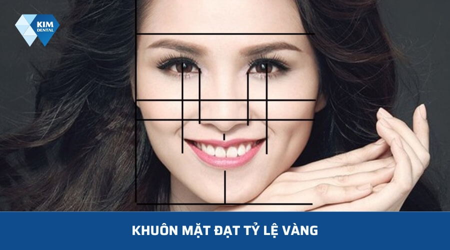 Tỷ lệ của hàm răng khớp cắn chuẩn