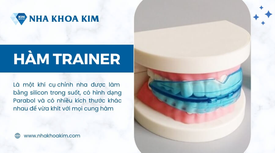 Hàm trainer là gì