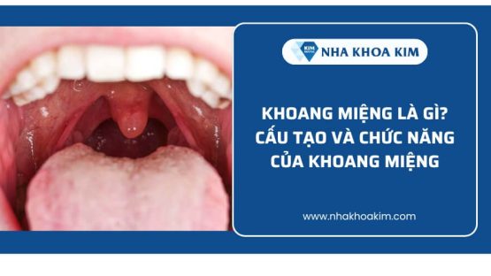 Khoang miệng là gì? Cấu tạo và chức năng của khoang miệng