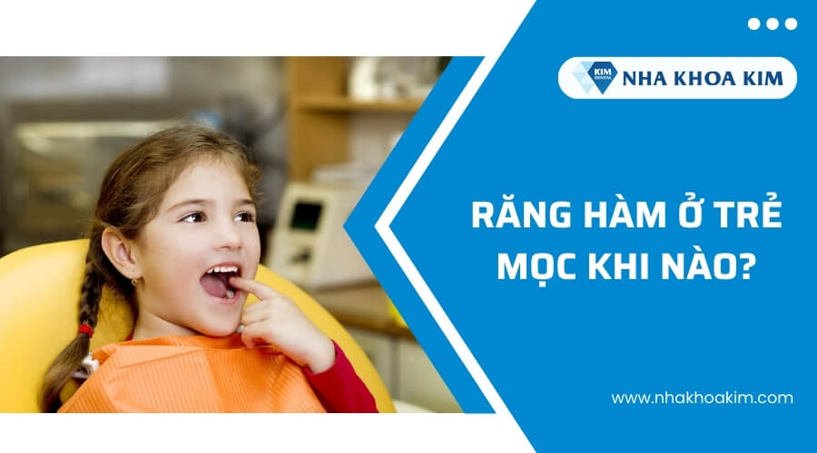 Răng hàm ở trẻ mọc khi nào?