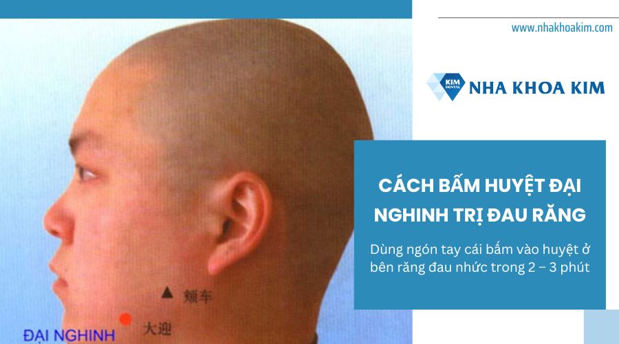 cách bấm huyệt đại nghinh