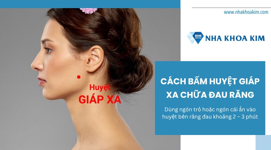 cách bấm huyệt giáp xa