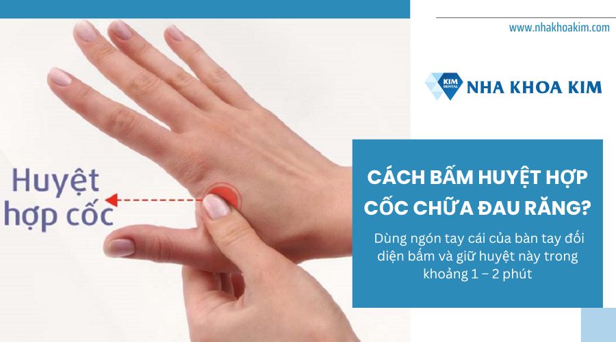 cách bấm huyệt hợp cốc