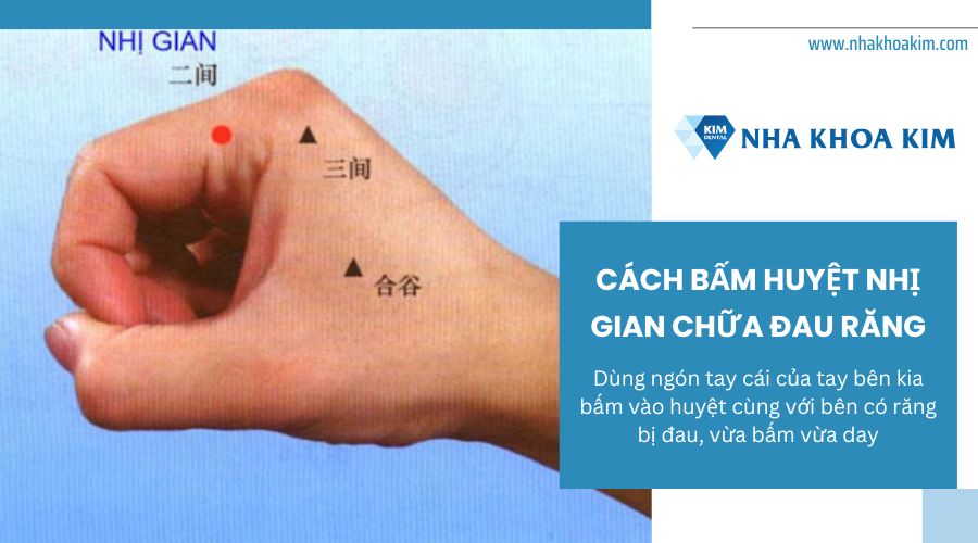 cách bấm huyệt nhị gian