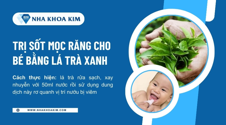 Mẹo trị sốt mọc răng bằng lá trà xanh