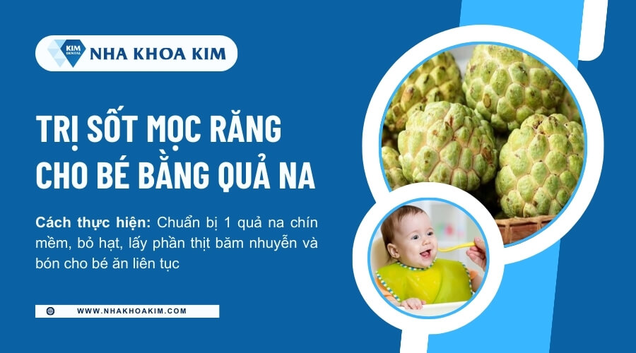 Mẹo trị sốt mọc răng bằng quả na