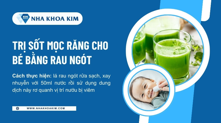 Mẹo trị sốt mọc răng bằng rau ngót